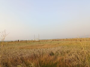  Plot For Sale in Bamandongri