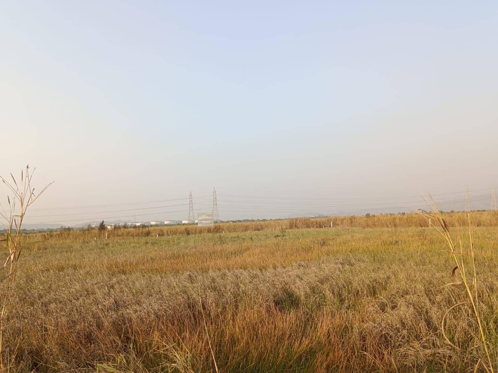 Plot For Sale in Bamandongri