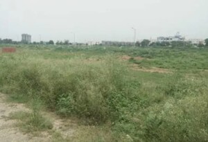 Plot Area in  Plot at KLJ Greens, Sector 77 – for Sale