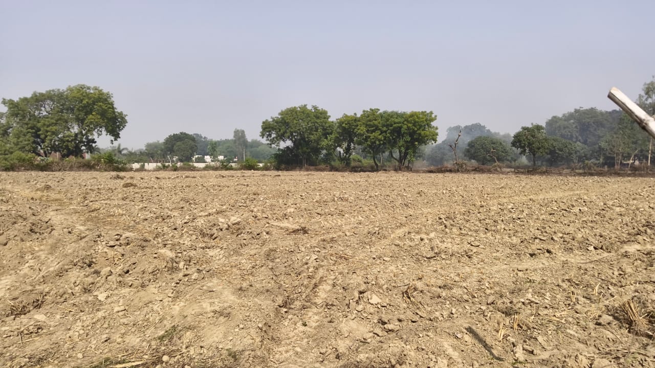 Plot For Sale in Imperial City 