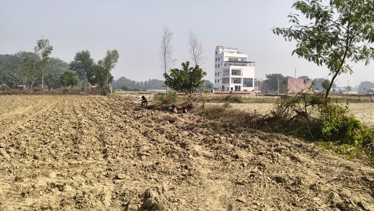 undefined, raebareli road  1772 Sq.Ft. Plot In Raebareli Road Lucknow 9484518