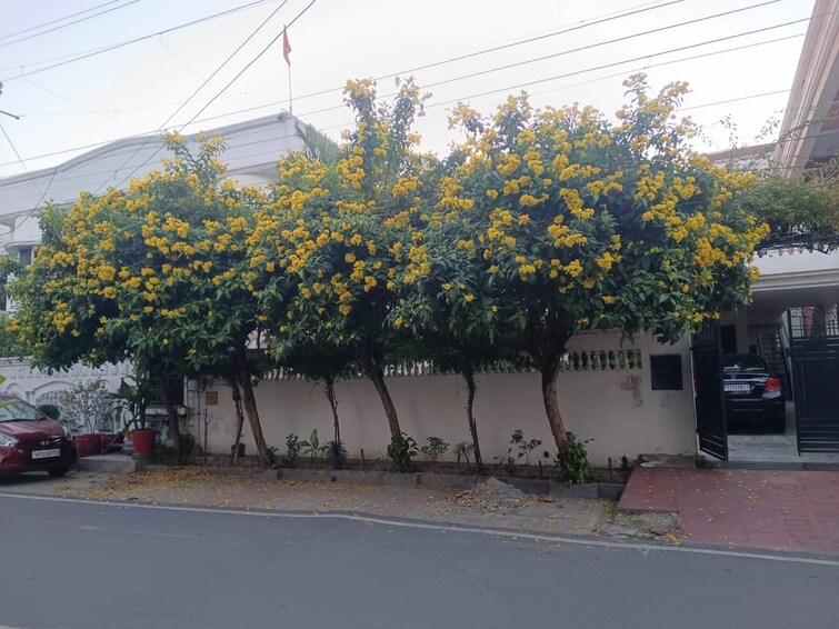 Cover Image, gomti nagar 5 Bedroom 3200 Sq.Ft. Independent House In Gomti Nagar Lucknow 9485248