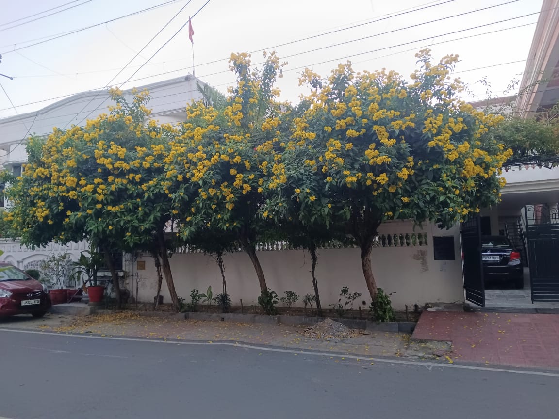 5 BHK Independent House For Sale in Gomti Nagar