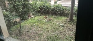 Plot Area in 3 BHK Villa at Kolte Patil Life Republic, Hinjewadi – for Sale