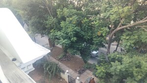 6 BHK Independent House – Garden View at Jubilee Hills - for Sale