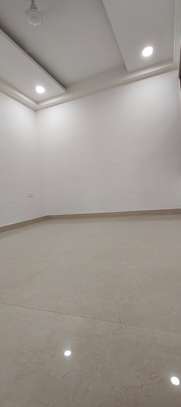 3 BHK Builder Floor For Rent in Chattarpur