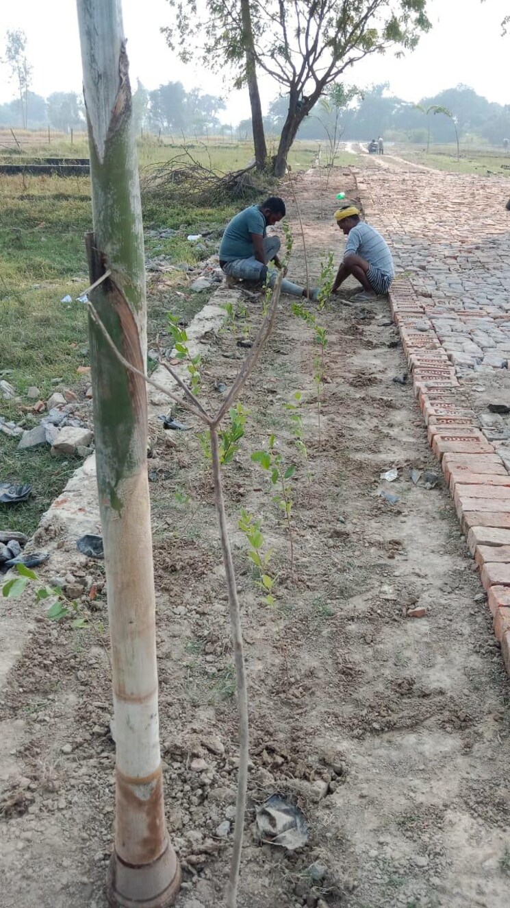 undefined, sultanpur road  1250 Sq.Ft. Plot In Sultanpur Road Lucknow 9486182