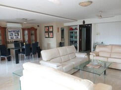 2 BHK + Pooja Room Apartment For Sale in Orchid Apartment Khar West