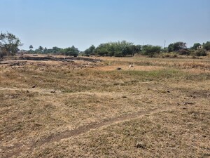 Plot Area in  Plot at Jaulke – for Sale