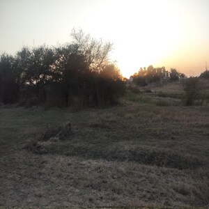 Plot Area in  Plot at Jaulke – for Sale