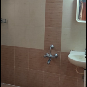 Bathroom in 2 BHK Apartment at Diamond District, Domlur – for Rent
