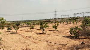  Plot For Sale in Mallapur