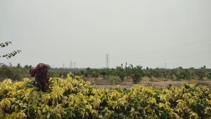  Plot For Sale in Pocharam