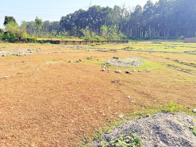 undefined, sherpur  425 Sq.Yd. Plot In Sherpur Dehradun 9486657