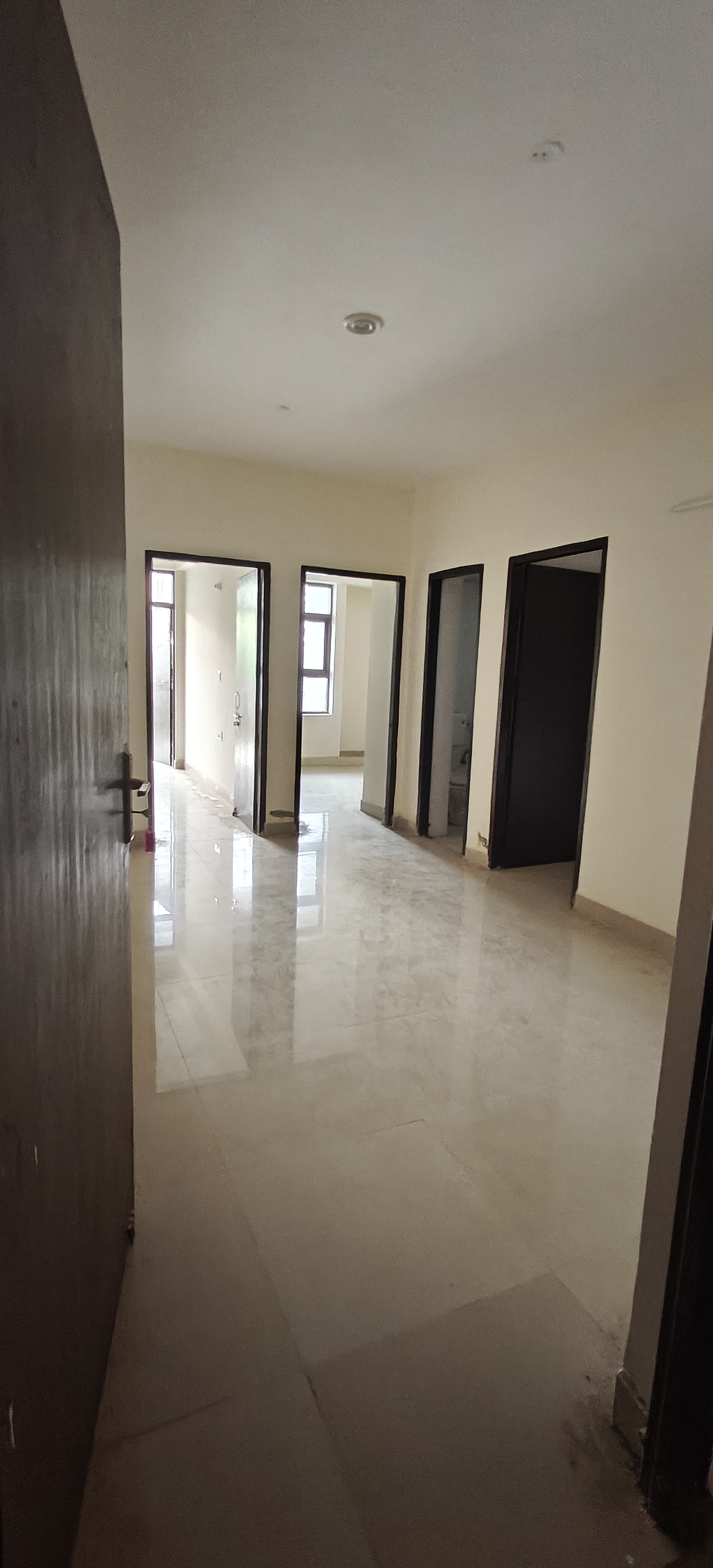 3 BHK Apartment For Rent in Amolik Sankalp