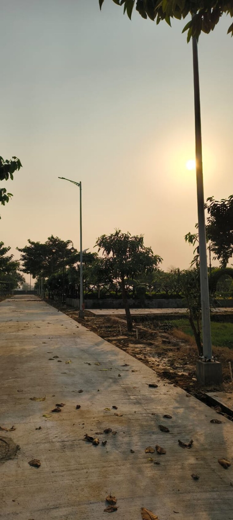 Garden, sujanpur  550 Sq.Yd. Plot In Sujanpur Aligarh 9487367