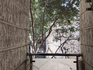 Balcony in 1 RK Builder Floor at Queens Plaza, Sector 43 – for Rent