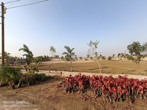 Plot Area in  Plot at Dunda – for Sale