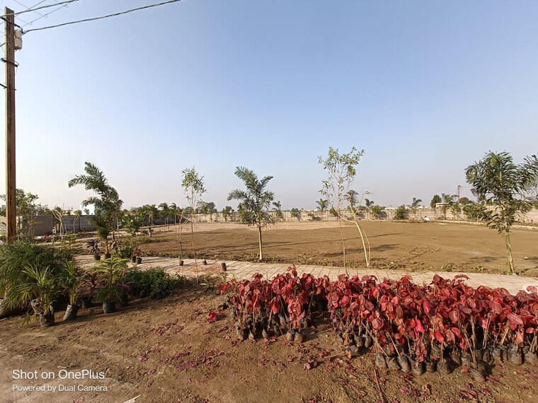 undefined, dunda  1545 Sq.Ft. Plot In Dunda Raipur 9488036