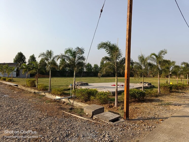 undefined, dunda  1565 Sq.Ft. Plot In Dunda Raipur 9488042