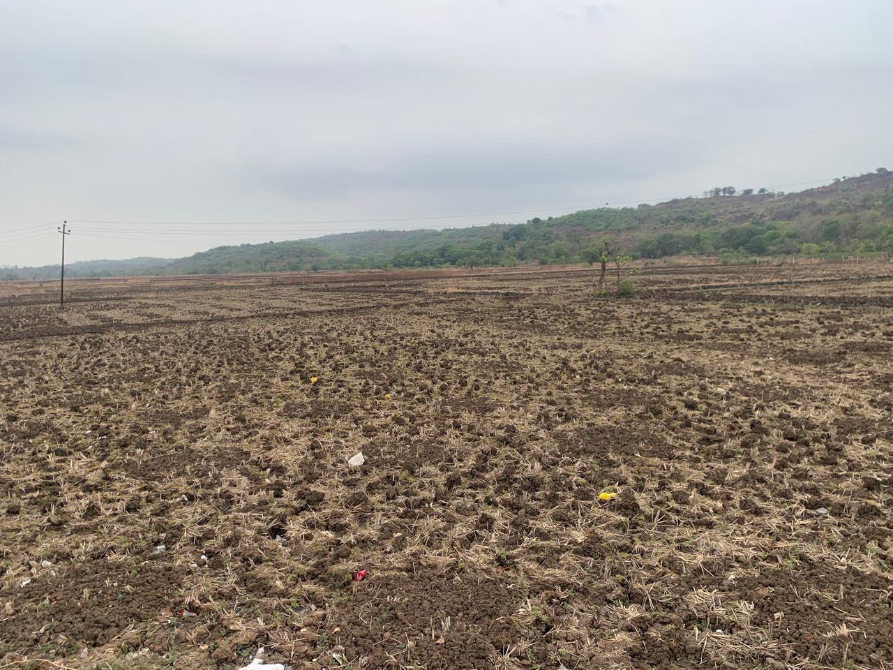 Land For Sale in Commercial Plot 