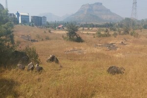  Plot For Sale in Igatpuri