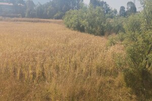 Plot Area in  Plot at Igatpuri – for Sale