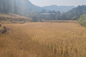 Plot Area in  Plot at Igatpuri – for Sale