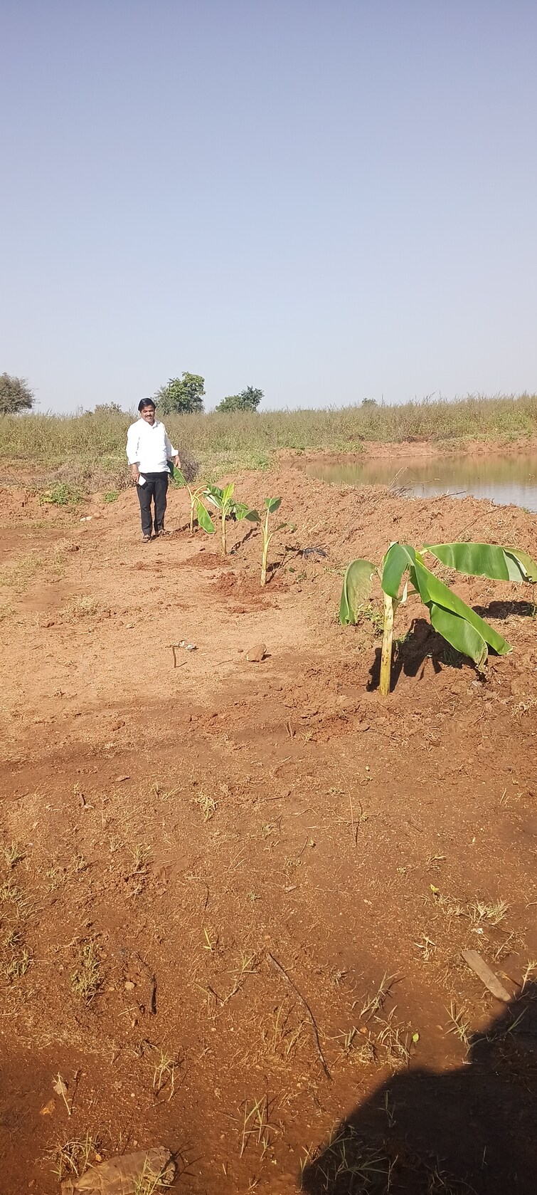 Cover Image, shadnagar Commercial Land 12 Acre In Shadnagar Hyderabad 9488156