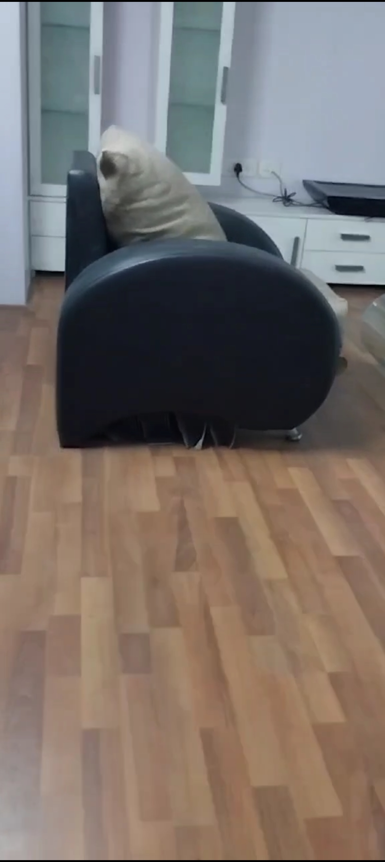 Office Space For Rent in Crystal Paradise