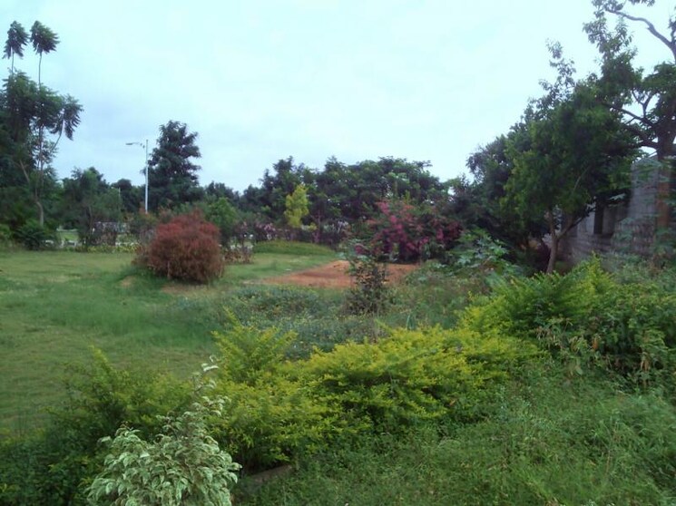 Garden, chandapura  1250 Sq.Ft. Plot In Chandapura Bangalore 9488471