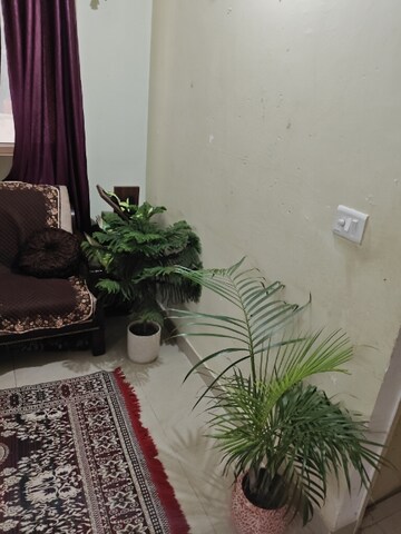 Living Room in 2 BHK Apartment at ROF Ananda, Sector 95 – for Sale