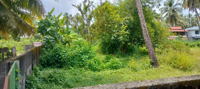 Garden, west fort  3049 Sq.Ft. Plot In West Fort Thrissur 9488784