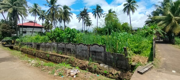 undefined, west fort  3049 Sq.Ft. Plot In West Fort Thrissur 9488784