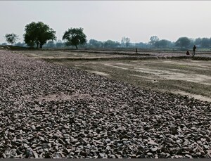 Plot Area in  Plot at Sector 71 – for Sale