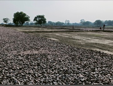 Plot Area in  Plot at Sector 71 – for Sale