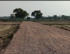 Plot For Sale in Sector 71