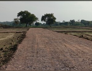  Plot For Sale in Sector 71