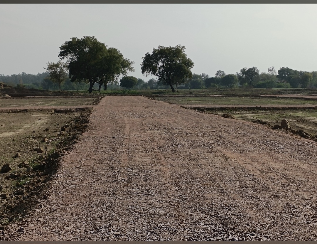 Plot For Sale in Sector 71