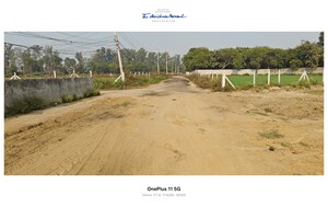  Plot For Sale in Sector 56