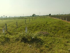Plot For Sale in Adavi Takkelapadu