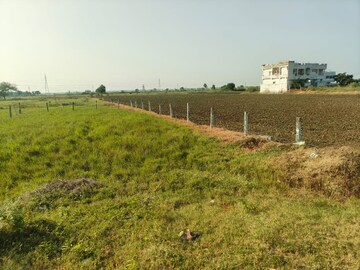Plot Area in  Plot at Adavi Takkelapadu – for Sale