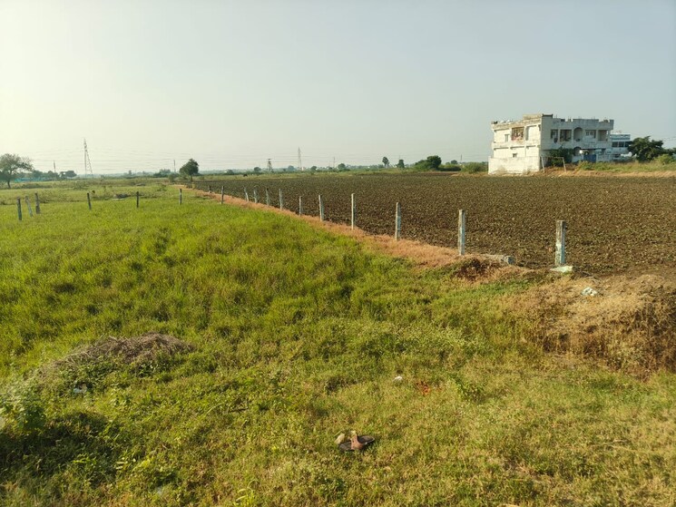 undefined, adavi takkelapadu  456 Sq.Yd. Plot In Adavi Takkelapadu Guntur 9489291