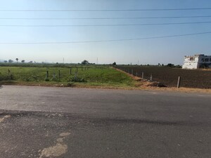 Plot Area in  Plot at Adavi Takkelapadu – for Sale