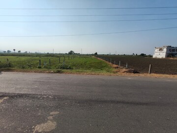 Plot Area in  Plot at Adavi Takkelapadu – for Sale