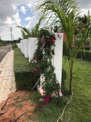  Plot – Garden View at Devanahalli - for Sale