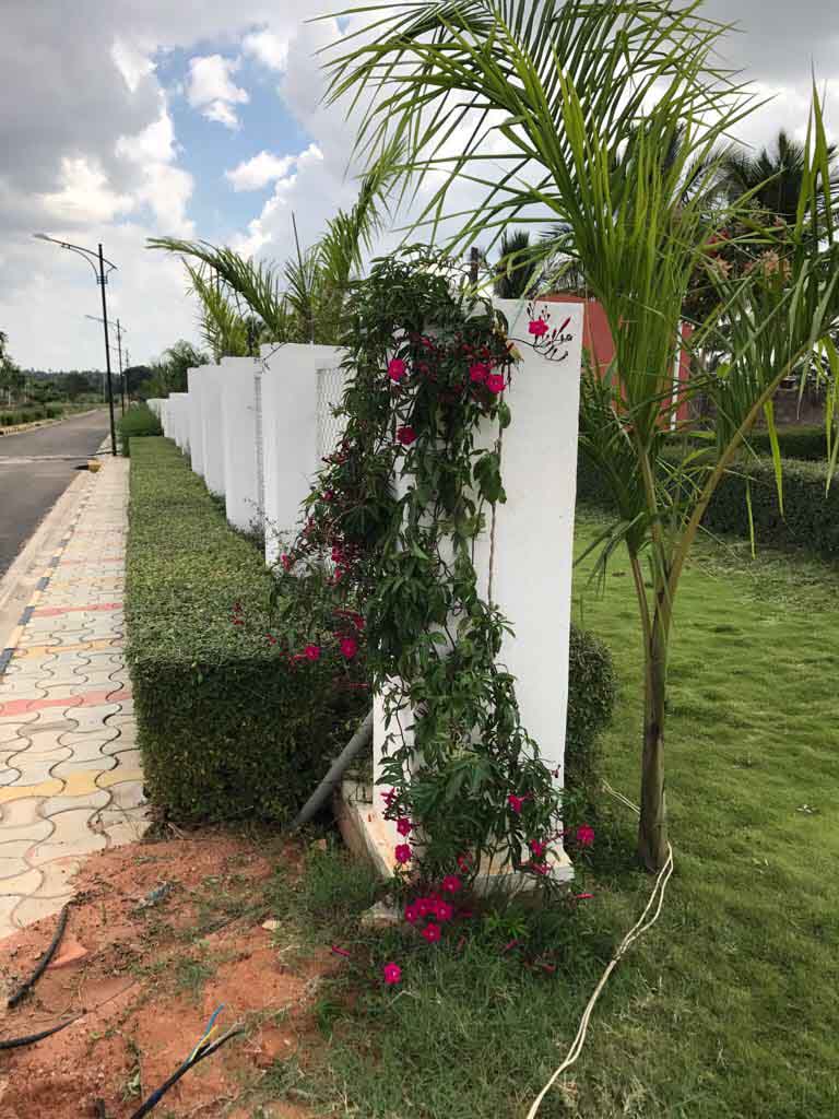 Plot For Sale in Telecom Ayodhya City 