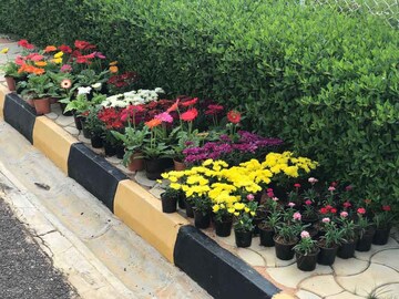  Plot – Exterior View View at Devanahalli - for Sale