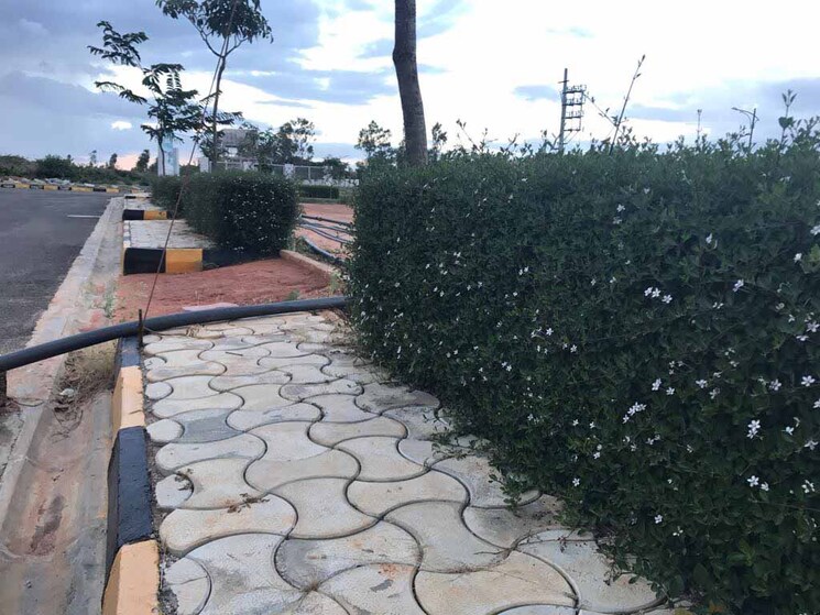 Exterior View, devanahalli  2400 Sq.Yd. Plot In Devanahalli Bangalore 9489407