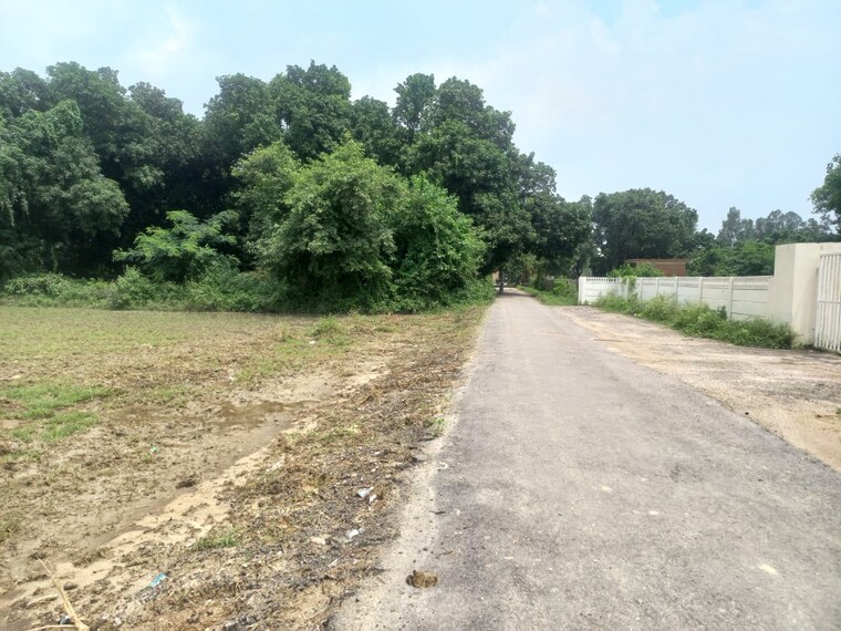 undefined, sushant golf city  1000 Sq.Ft. Plot In Sushant Golf City Lucknow 9489465